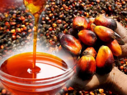 red palm oil