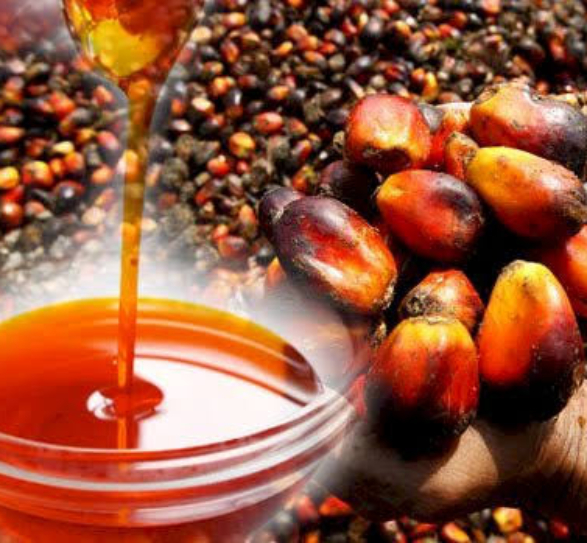 red palm oil