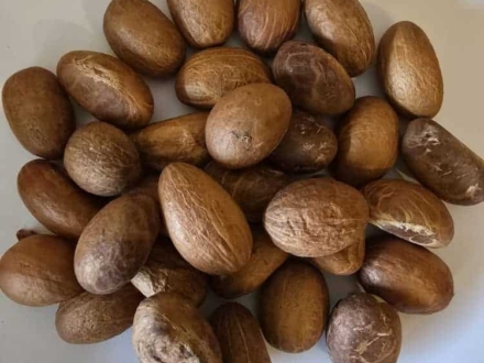 bitter kola at krossbell