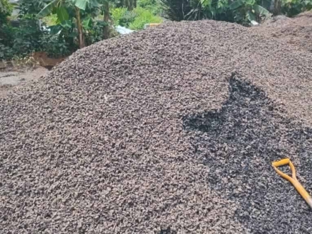 kernel shell at krossbell2